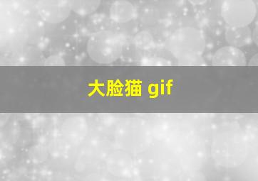 大脸猫 gif